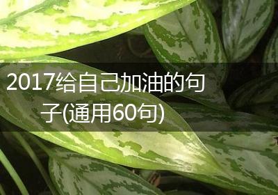 2017给自己加油的句子(通用60句)