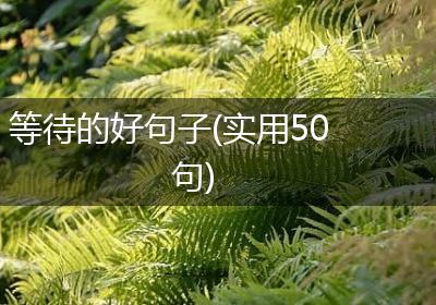 等待的好句子(实用50句)