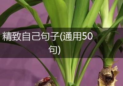 精致自己句子(通用50句)