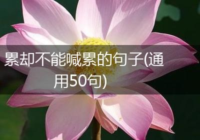 累却不能喊累的句子(通用50句)
