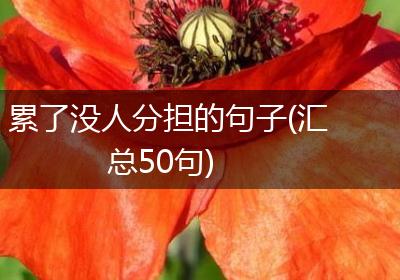 累了没人分担的句子(汇总50句)