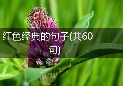 红色经典的句子(共60句)