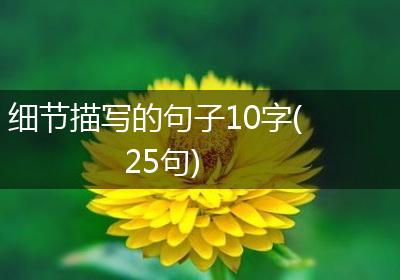细节描写的句子10字(25句)