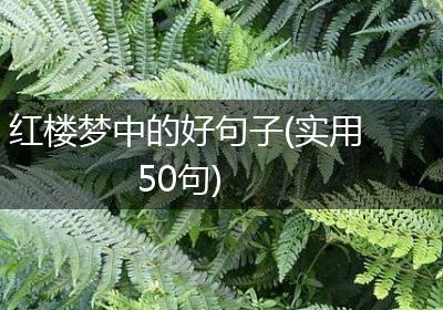 红楼梦中的好句子(实用50句)
