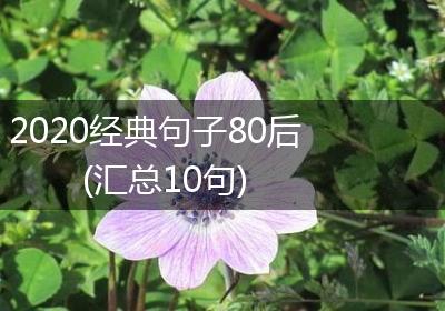2020经典句子80后(汇总10句)