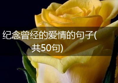 纪念曾经的爱情的句子(共50句)