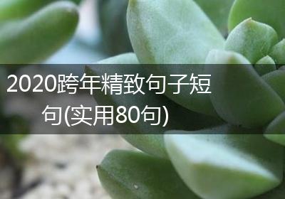 2020跨年精致句子短句(实用80句)