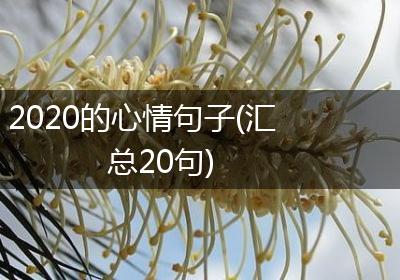 2020的心情句子(汇总20句)