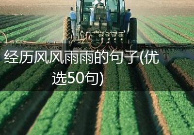 经历风风雨雨的句子(优选50句)