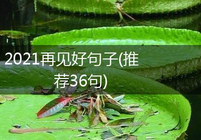 2021再见好句子(推荐36句)