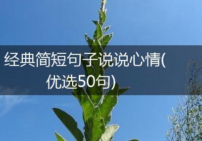 经典简短句子说说心情(优选50句)