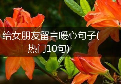 给女朋友留言暖心句子(热门10句)