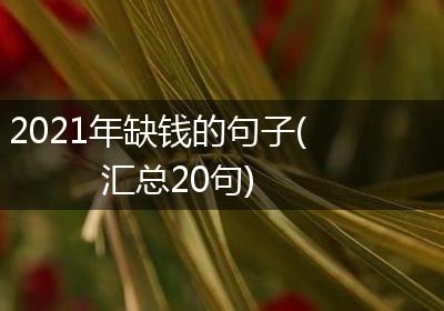 2021年缺钱的句子(汇总20句)