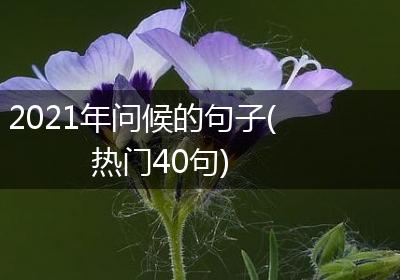2021年问候的句子(热门40句)