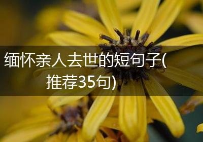 缅怀亲人去世的短句子(推荐35句)