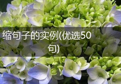缩句子的实例(优选50句)