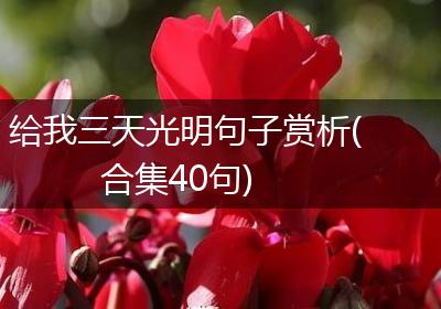 给我三天光明句子赏析(合集40句)