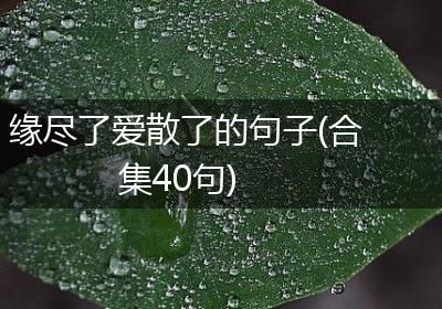 缘尽了爱散了的句子(合集40句)