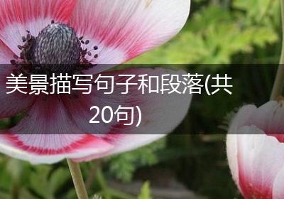 美景描写句子和段落(共20句)