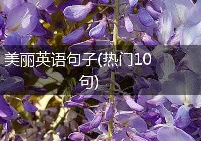 美丽英语句子(热门10句)