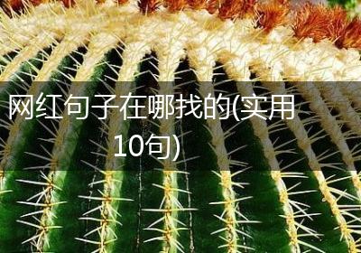 网红句子在哪找的(实用10句)