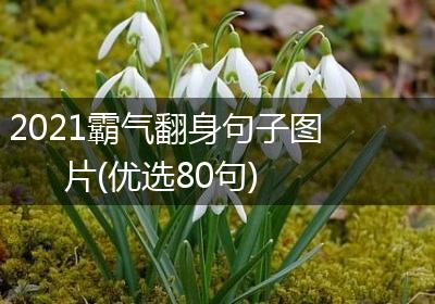 2021霸气翻身句子图片(优选80句)