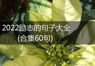2022励志的句子大全(合集60句)