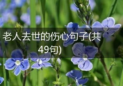 老人去世的伤心句子(共49句)