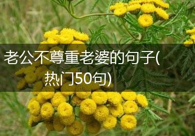 老公不尊重老婆的句子(热门50句)