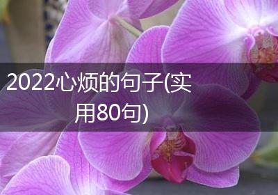 2022心烦的句子(实用80句)
