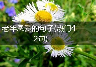 老年恩爱的句子(热门42句)