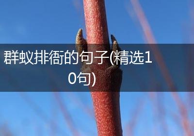 群蚁排衙的句子(精选10句)