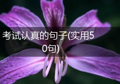 考试认真的句子(实用50句)