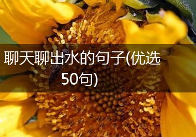 聊天聊出水的句子(优选50句)