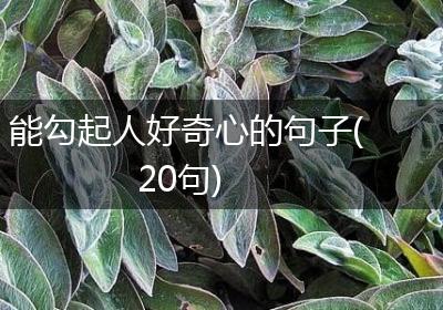 能勾起人好奇心的句子(20句)