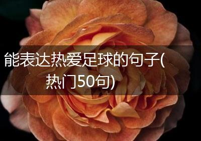 能表达热爱足球的句子(热门50句)
