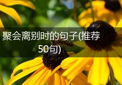 聚会离别时的句子(推荐50句)