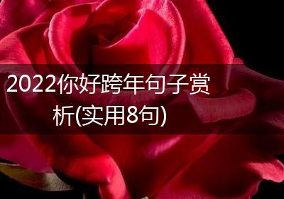 2022你好跨年句子赏析(实用8句)