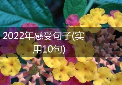 2022年感受句子(实用10句)