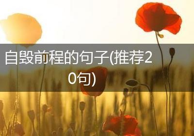 自毁前程的句子(推荐20句)