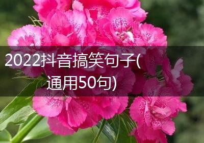 2022抖音搞笑句子(通用50句)