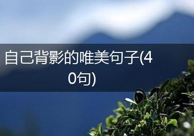 自己背影的唯美句子(40句)