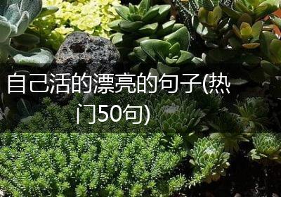 自己活的漂亮的句子(热门50句)