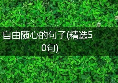 自由随心的句子(精选50句)