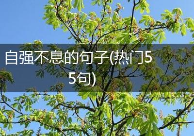 自强不息的句子(热门55句)