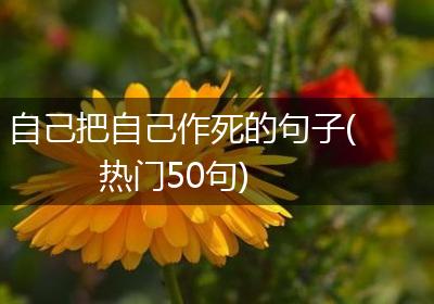 自己把自己作死的句子(热门50句)
