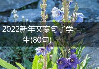 2022新年文案句子学生(80句)