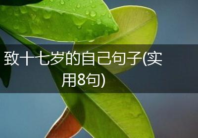 致十七岁的自己句子(实用8句)
