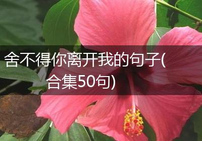 舍不得你离开我的句子(合集50句)