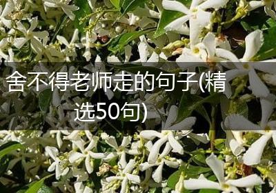 舍不得老师走的句子(精选50句)